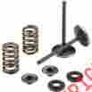 0926-2465 Intake Valve Moose Racing Kit