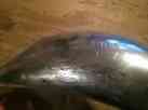 125-2000-2004 Exhaust Series Gold Pipe-yamaha Yz Fmf Sst
