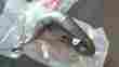 18120-1119 Kawasaki 2002-2015 Kx65 Exhaust