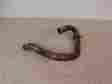 18320-men-a30 Honda 2010 Crf 450 Header Pipe Exhaust Free Shipping