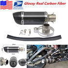 6188051248665 Unbranded Glossy Carbon Fiber Motorcycle Exhaust Muffler Pipe