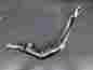 65627-07 Harley-davidson Harley Davidson Exhaust Pipe Left Side 07-08 Touring
