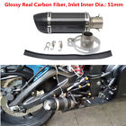 7903688741551 Unbranded Motorcycle Modified Carbon Fiber Exhaust Muffler Pipe
