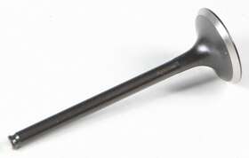Black Diamond 30-30753 Kpmi Exhaust Valve