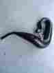 Ph88250 Pro Circuit 1988 88 Cr250 Exhaust Head Pipe Header 3962 Mint