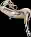 Py98250p Pro Circuit Platinum Pipe
