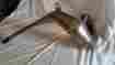 Y08yz250 Fmf Racing Yamaha Yz 250 Exhaust