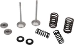 Moose Stainless Steel Valve And Spring Exhaust Kit Seals Kawasaki KX250F 17-19. Fixed Price $196.95.