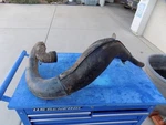 1985 Husqvarna Wr 400 Exhaust Pipe Expansion Chamber 15.13.454.02. Fixed Price $100.00.