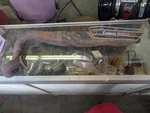 74 Yamaha DT250, 360 Oem Exhaust Pipe Assembly 438-14610-00-00, 498-14729-01-00. Fixed Price $177.77.