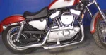 Exhaust Drag Pipe Set Side Slash Style Fits Harley Davidson 30-0385. Fixed Price $196.40.