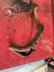 Oem 1986 Yamaha Big Wheel BW200 Exhaust Header Pipe 85-86. Fixed Price $200.00.
