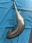Yamaha Fmf Fatty Exhaust Pipe Expansion Chamber 1999 - 1998. Fixed Price $180.00.