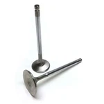 Brian Crower Head Dia 31MM Valves Exhaust System For Toyota 1JZGTE Lexus 1JZGE. Fixed Price $272.17.