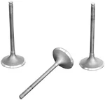 Shindy Valve Set For 1987-1998 Suzuki LT-4WD Quadrunner 250 Atv. Fixed Price $52.46.