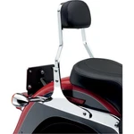 Cobra 602-1201 Sissy Bar Short. Fixed Price $305.67.