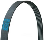 Serpentine Belt Dayco 5050350. Fixed Price $28.83.