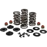 Kw Racing Exhaust Intake Valve Spring Kit Harley Seventy Two 12-17. Fixed Price $235.38.