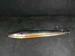 1976 Honda Gl 1000 Left Muffler Shield Chrome Used Oem 18360-371-000. Fixed Price $53.06.
