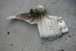 Oem Bmw E46 Front Right Frame Rail Exhaust Heat Shield 01-05 325I 330I. Fixed Price $25.46.