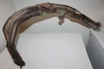 2000 - 2003 Triumph TT600 Engine Exhaust Header Pipe Nice!. Fixed Price $75.00.