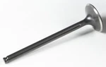Kpmi 30-30168 Black Diamond Exhaust Valve. Fixed Price $61.02.