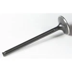 Kpmi Black Diamond Exhaust Valve 30-30168. Fixed Price $47.64.