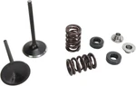 Moose Stainless Steel Valve And Spring Exhaust Kit W Seals Yamaha YZ450F 14-19. Fixed Price $196.95.