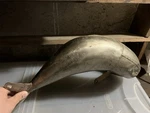 1991 Fmf Exhaust Header Expansion Chamber Pipe. Fixed Price $129.00.