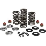 Kw Racing Exhaust Intake Valve Spring Kit .65IN Lift Hd Seventy Two 12-17. Fixed Price $380.11.