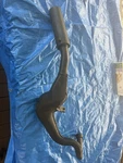 Yamaha YSR50 5O Oem Exhaust Muffler Pipe Great Condition. Fixed Price $551.65.
