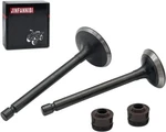 Cylinder Head Intake Exhaust Valves For Yamaha TTR125L/E TTR125LE 2000-18. Fixed Price $11.49.