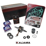 For Honda CR80R Engine Rebuild Kit Crankshaft Nachi Bearings Piston Gasket 86 02. Fixed Price $249.00.