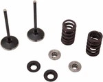 Moose Racing Intake Valve Kit 0926-3192. Fixed Price $196.95.
