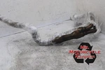 13-17 Kawasaki Ninja ZXR300 EX300 Oem Exhaust Header Down Pipes L3. Fixed Price $100.00.