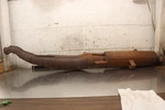 1994 Polaris 400L 4X4 Exhaust Pipe Muffler Slip On Can Silencer H151. Fixed Price $111.99.