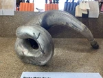 Ktm 250 Enduro Fmf Gnarly Exhaust Pipe Dented 300 Exc Mxc Sx 1993. Fixed Price $50.00.